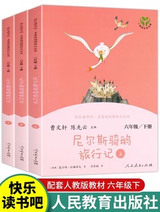 人教版快乐读书吧六年级下册尼尔斯骑鹅旅行记全套3册 小学生六年级经典语文课外阅读书籍