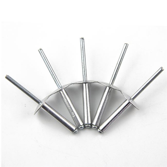 大帽抽芯铝铆钉图片