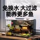 免换水鱼缸客厅小型一体生态自循环2025新款懒人亚克力家用小鱼缸