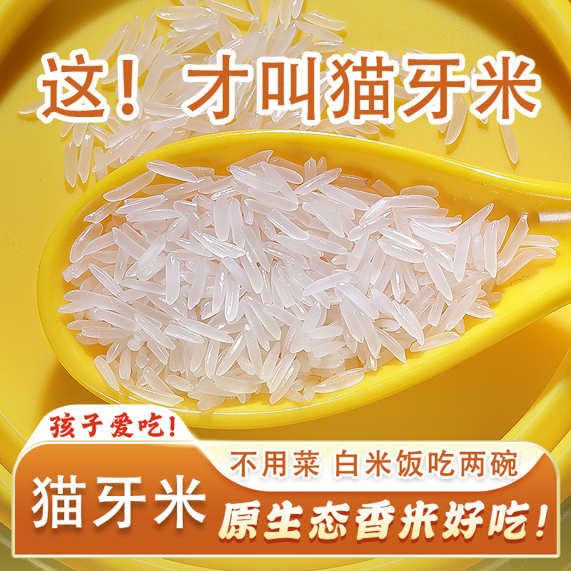 猫牙米10斤泰国香米长粒香大米丝苗