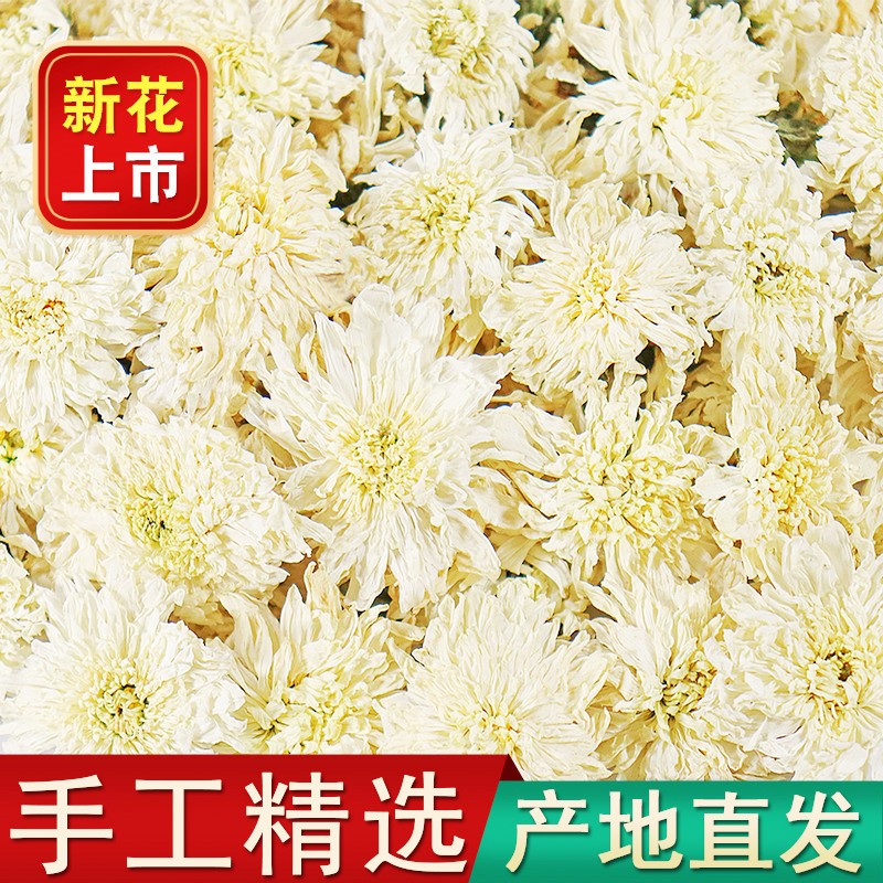 2024新茶黄山白菊花茶白菊花新花黄山茶贡胎菊花散装