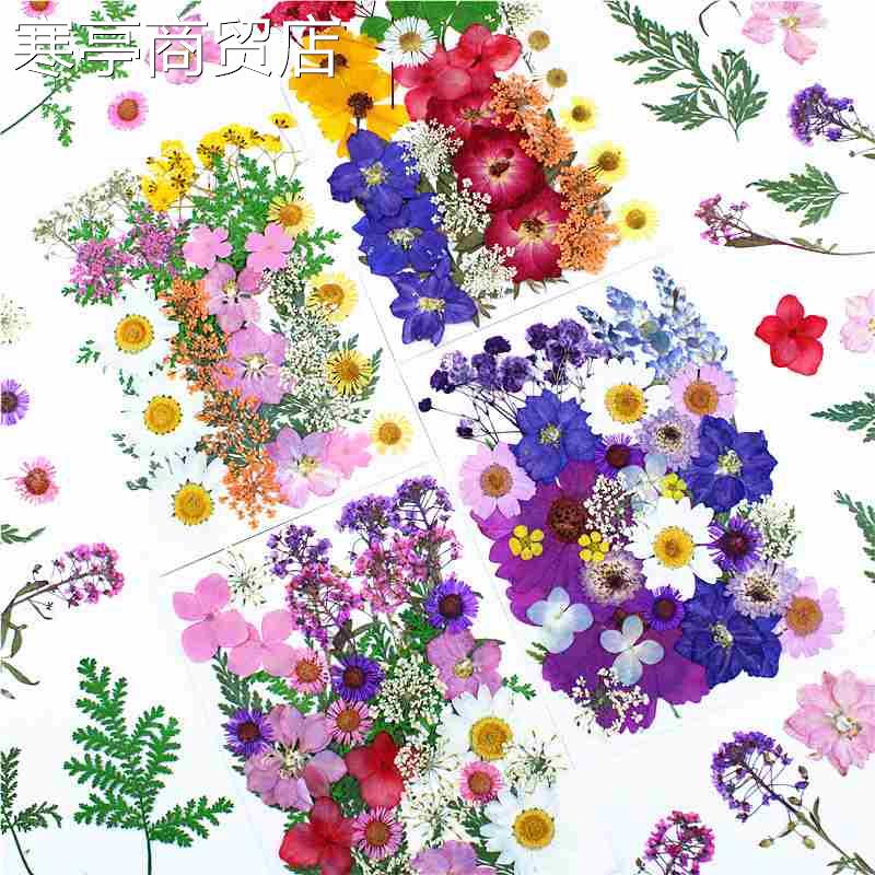 2023 New 1Bag Dried Flowers Plant Pressed Flower Resin Mold