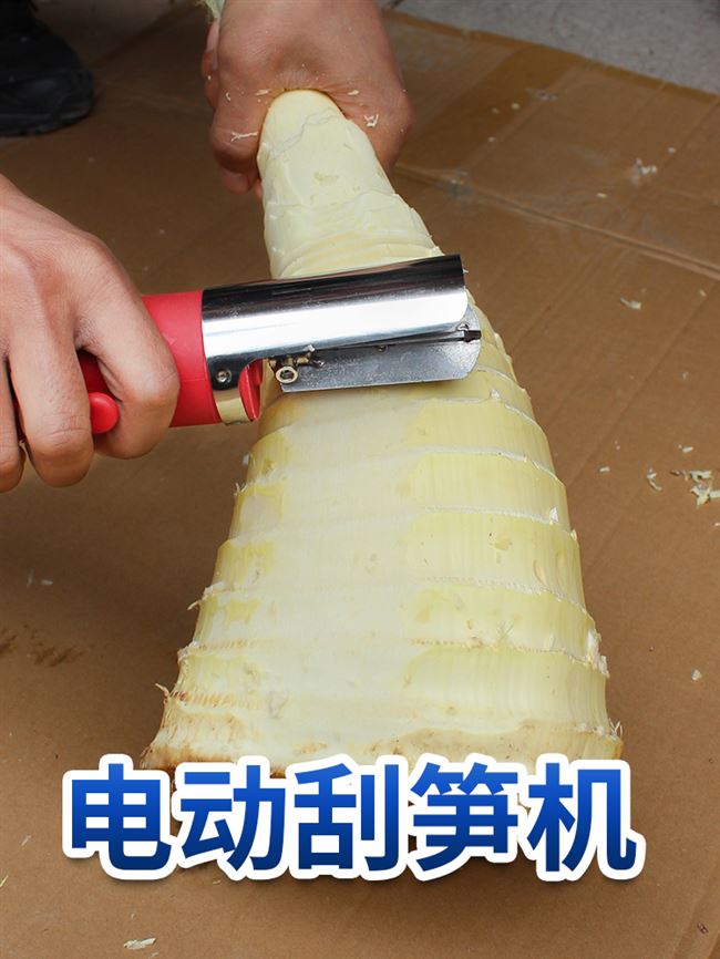 电动刮笋机手持刮笋工具刮笋器剥笋机器刮皮机刨毛竹笋皮刨竹笋机图片