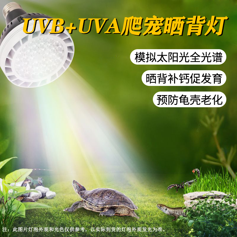 小乌龟晒背灯uva+uvb全光谱灯