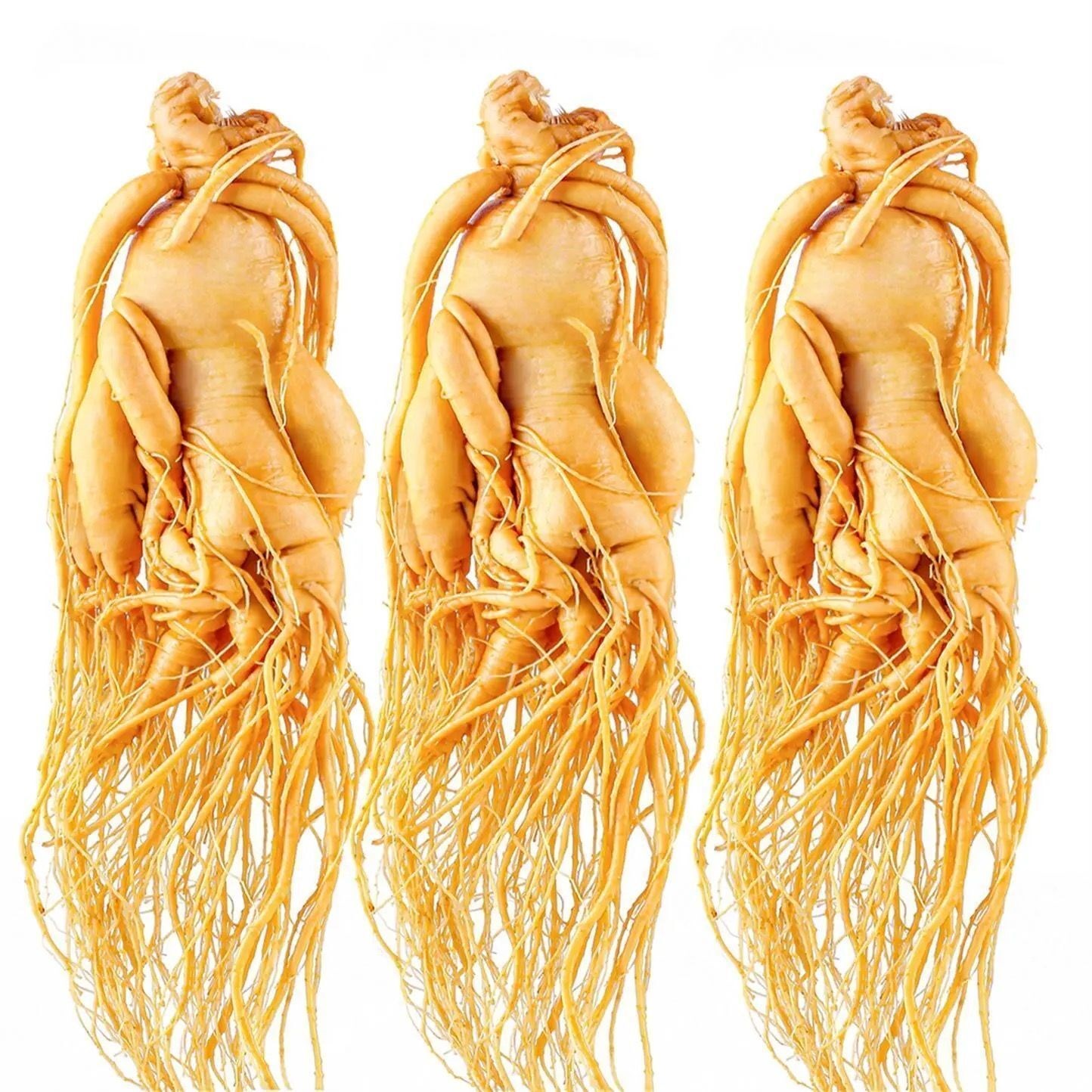 东北长白山人参鲜参