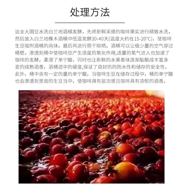 白兰地酒桶水洗处理巴比伦庄园精品现磨咖啡豆生豆科纳大圆豆1kg