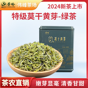 莫干黄芽2024新茶明前毛尖嫩芽特级茶高端绿茶高山茶叶250g礼盒