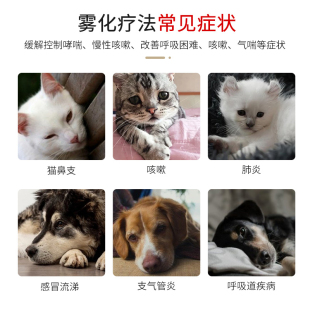 定制宠物雾化机宠物猫咪专用静音手持家用狗狗雾化机器化痰鼻支不