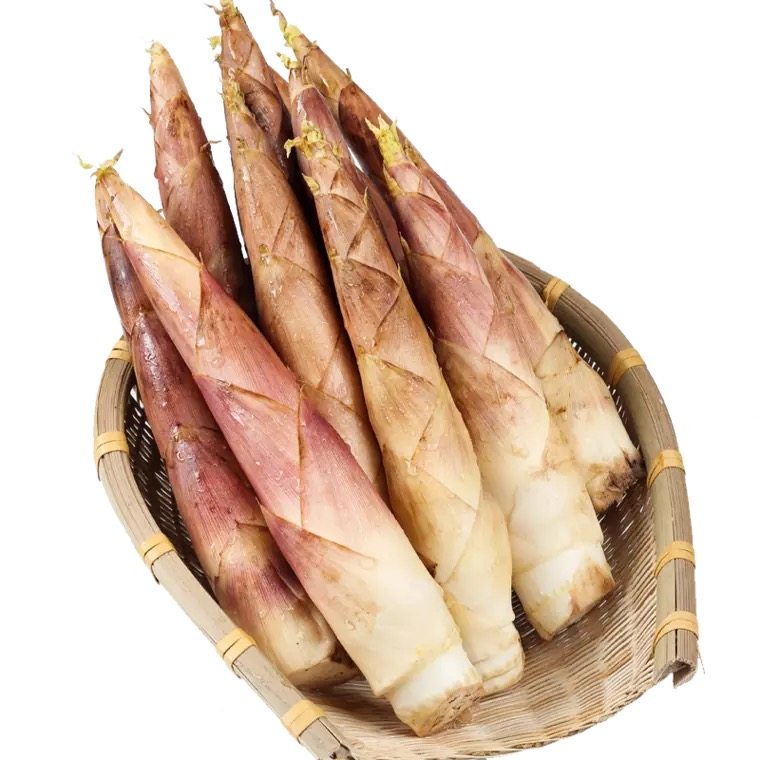 现货福建春笋新鲜竹笋现挖惊雷笋非天目山冬笋农家笋蔬菜5斤包邮