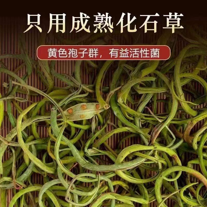 精品肾精草长白山化石草肾精茶肾茶东