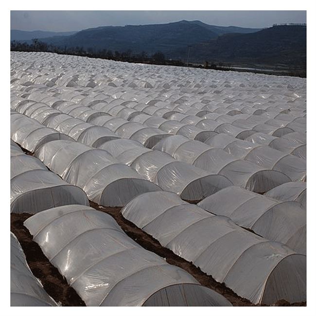 大品白色塑料薄膜小拱棚塑料保温蔬菜新棚qp膜地膜防水塑料薄膜