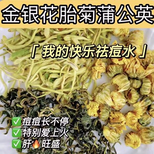 金银花蒲公英菊花茶胎菊肝火旺盛熬夜夏季清解热降去毒火养生茶包