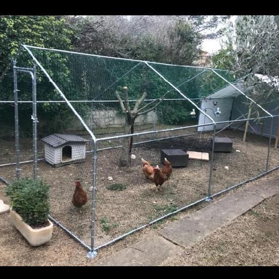 新鸡棚家用笼子户外鸡舍简易加密雏鸡笼幼鸡笼楼顶养鸡笼装小鸡