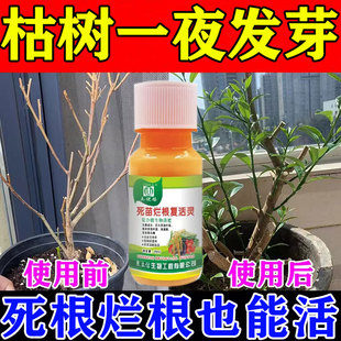 死树复活生根植物通用生根液植物复活灵烂根烂苗快速发芽