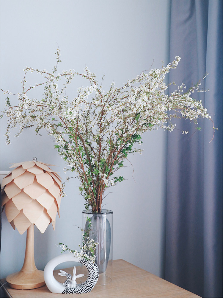 植物商店雪柳喷雪花干支鲜切水培绿植水养鲜切花卉喜庆室内家居