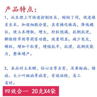 玉米控旺剂增产剂田节玉剂t米调玉米矮壮剂控旺玉米叶面肥矮大棒.