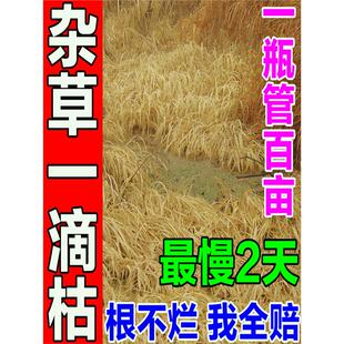 环泰铜除草烂根剂一扫光三年不长草小麦田苗后专用除草不伤苗