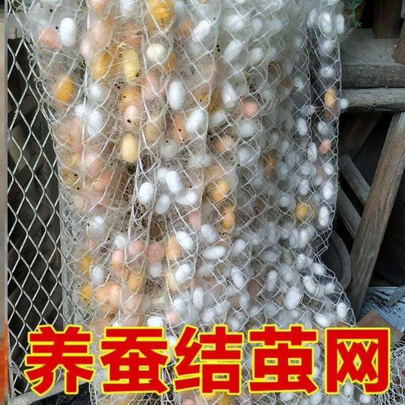 蚕宝宝吐丝结茧网专用结茧网大网片小网片质保10年专用养蚕工具