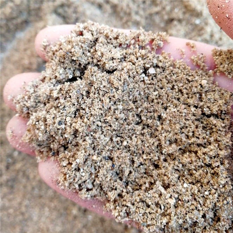 新河塘泥河沙铜钱草碗莲c睡莲鱼缸水池家用水培沙泥