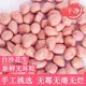 新鲜生花生米去壳白沙大粒花生无壳花生仁粉红皮不带壳花生米批发