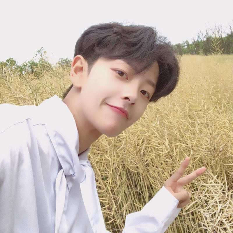 假发韩版帅气男中分刘海短卷发蓬松自然自然学学生日常整顶假发