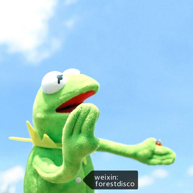 2021科米蛙手偶公仔玩r偶毛绒玩具多种造型科密特青蛙潮蛙kermi