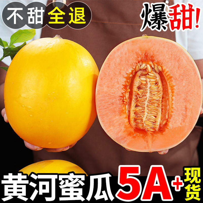 陕西黄河蜜瓜9斤新鲜水果整箱当季黄
