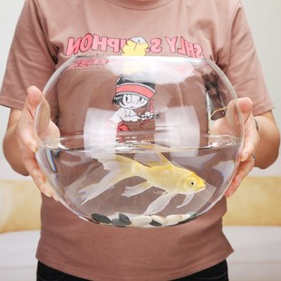 创意玻璃鱼缸圆形生态水族箱大号乌龟缸金鱼小型桌面造景水培花瓶
