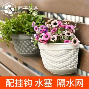 壁挂式水培花盆悬挂墙面室内外阳台挂式花盆吊篮绿萝塑料树脂花盆