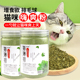 猫薄荷罐装可食用高纯度薄荷粉末猫喝水去化毛球猫草清口气猫用品