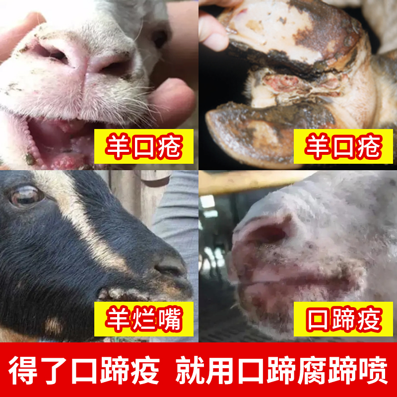 兽用羊药羊口疮药烂嘴药猪牛羊口蹄疫专用药腐蹄水泡碘甘油5号病