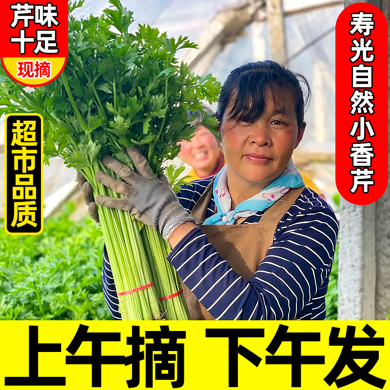 正宗现挖寿光小香芹菜5-10斤装新鲜大叶黄精品嫩芯西芹鲍芹蔬菜在类目 水产肉类/新鲜蔬果/熟食, 新鲜蔬菜/蔬菜制品, 新鲜蔬菜, 其它中 - 来自Buy2taobao.com提供专业的淘宝代购服务