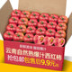 云南爆汁自然熟西红柿5-9斤新鲜生吃老品种水果普罗旺斯沙瓤番茄