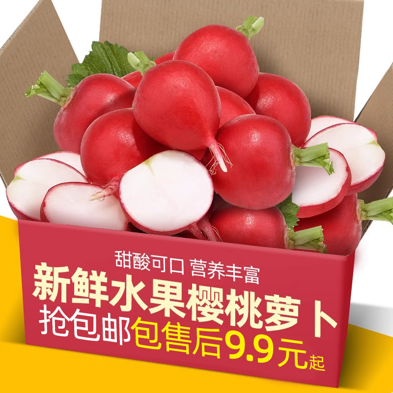 新鲜樱桃萝卜5-9斤迷你小红萝卜水果圆萝卜生吃新鲜蔬菜沙拉食材