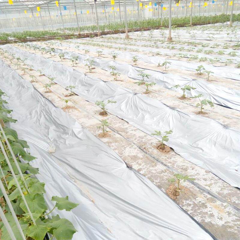 高档银蔬菜保湿保温农用除草地膜反光塑料薄膜q黑双色果树黑白奢