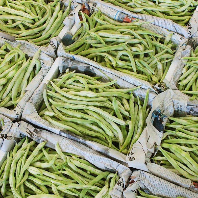 东北芸豆角新鲜四季豆东北豆角扁豆5斤白豆包邮老来少白豆角现摘