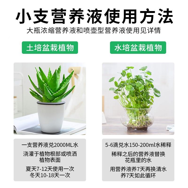 。营液绿植物培养肥料养绿水萝吊兰花草盆MWZ栽花卉花室内专用通