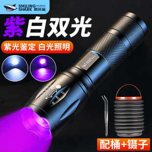 照玉石专用紫光灯验钞灯395紫外线手电筒可充电大功率超强鉴定灯