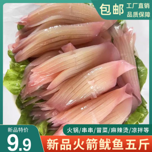 火箭鱿鱼商用鱿鱼须火锅冒菜串串烧烤铁板烧冷冻生鲜食材水发鱿鱼