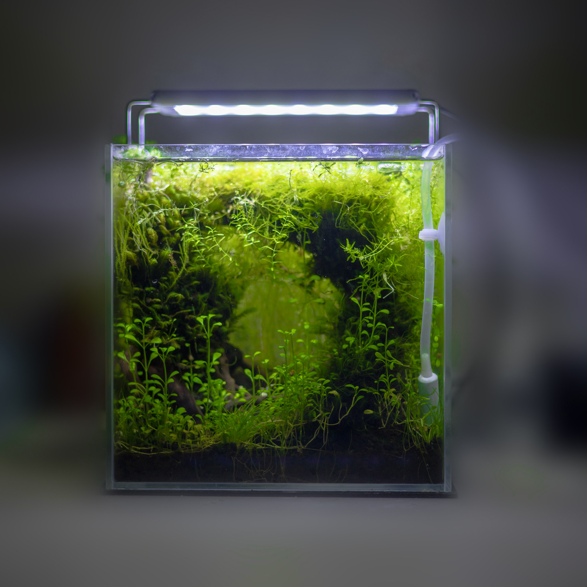 云舒水族全光谱wrgb水草灯专业支架爆藻灯超白缸专用led补光照明