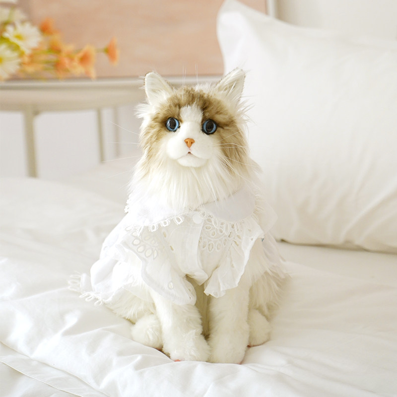 chongker蹲蹲布偶仿真猫咪毛绒玩具公仔摆件女孩生日礼物猫咪玩偶