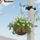Takasho经典欧式铁艺花园吊篮(2个装)阳台装饰兰花绿萝花盆花篮