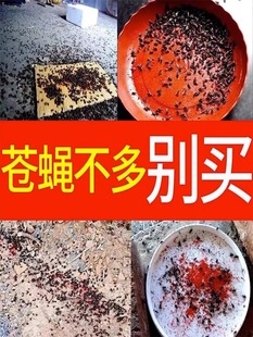 蚊子苍蝇驱赶神器捕捉夜市摊饭店养殖场宿舍灭苍蝇家室内外灭蝇王