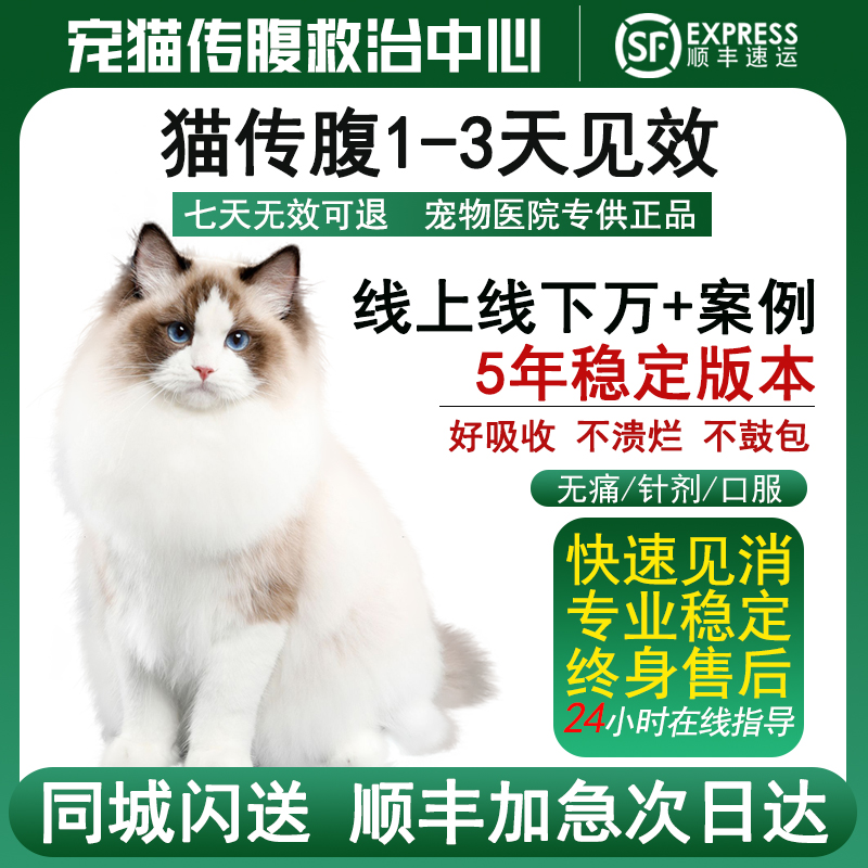 猫传腹针剂消腹水湿性干性猫咪腹膜炎fipv抑制剂口服片油水营养液