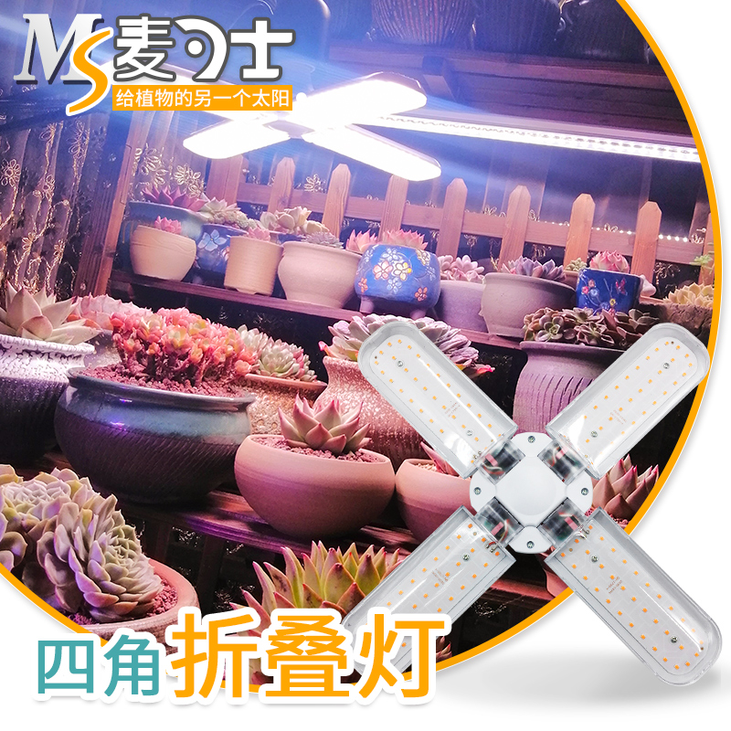 MS麦可士 多肉补光灯上色全光谱led家用室内花卉植物生长折叠灯|ruв категории награду материалов, огни освещения, функциональный светильник, вегетативная лампа - от Buy2taobao.com для оказания профессиональной услуги покупки агента Taobao