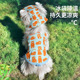 送帽子小狗狗凉凉衣夏日外出冰感防晒衣服夏季宠物比熊雪纳瑞吊带
