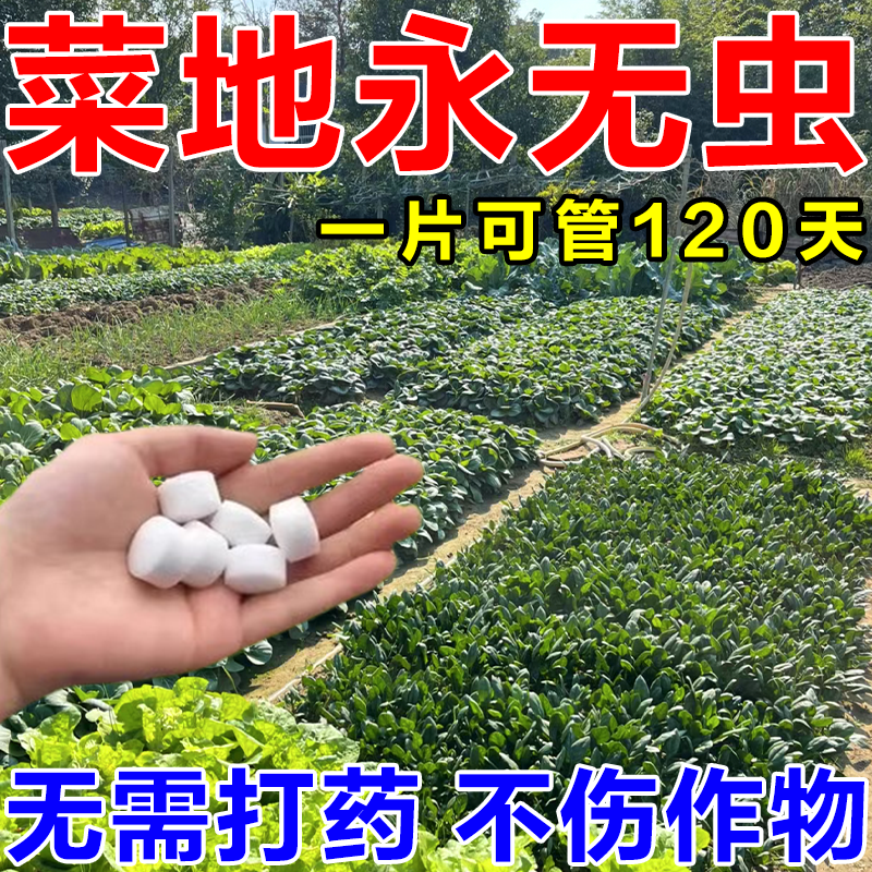 园艺防虫片糖化硼肥土壤杀虫剂菜地盆栽果花卉防烂根专用除虫颗粒