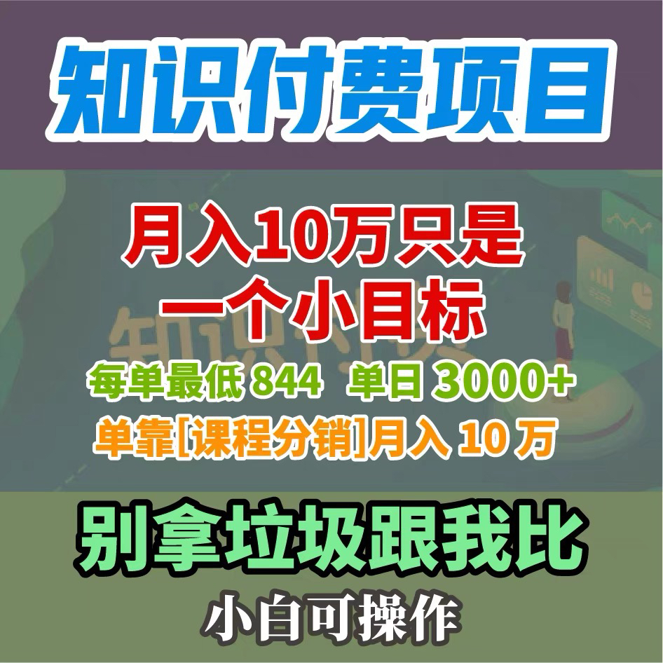 知识付费项目月入10W只是一个小目标单日3000+送网站会员一对一