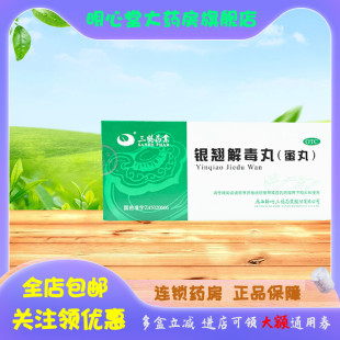 三鹤药业 银翘解毒丸(蜜丸) 9g*10丸/盒