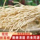 现挖湖北鱼腥草折耳根新鲜蔬菜凉拌鱼香草下饭菜农家野菜节节根嫩